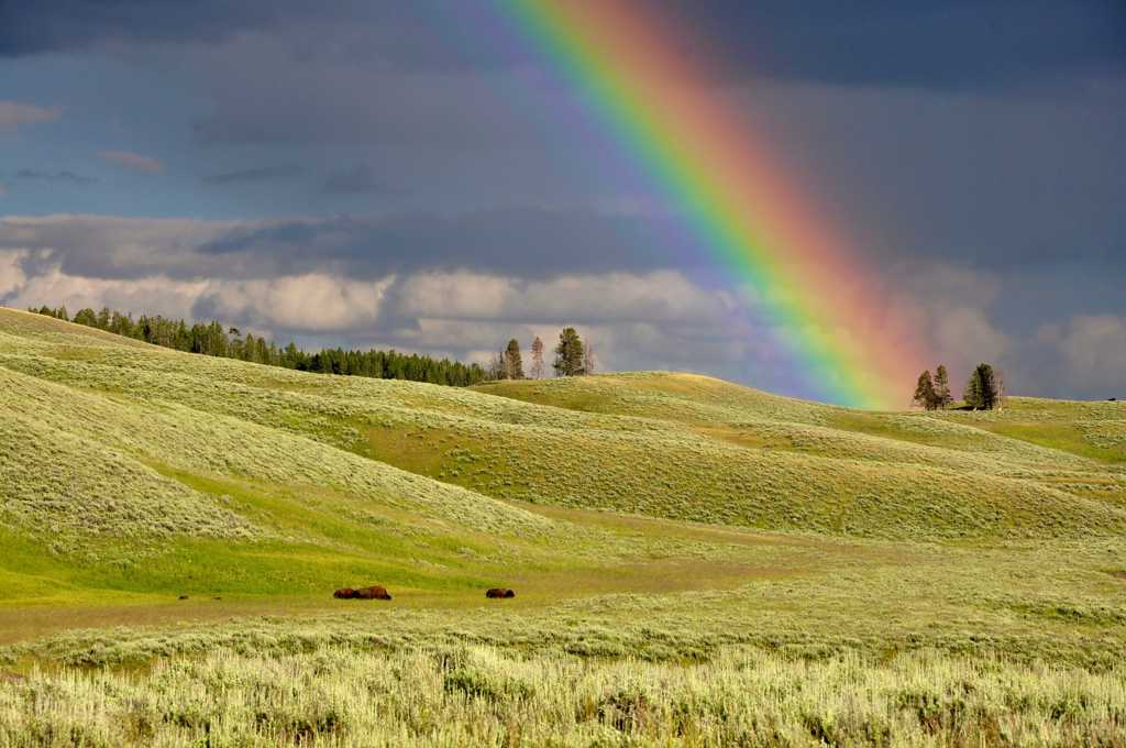 草原上空的彩虹