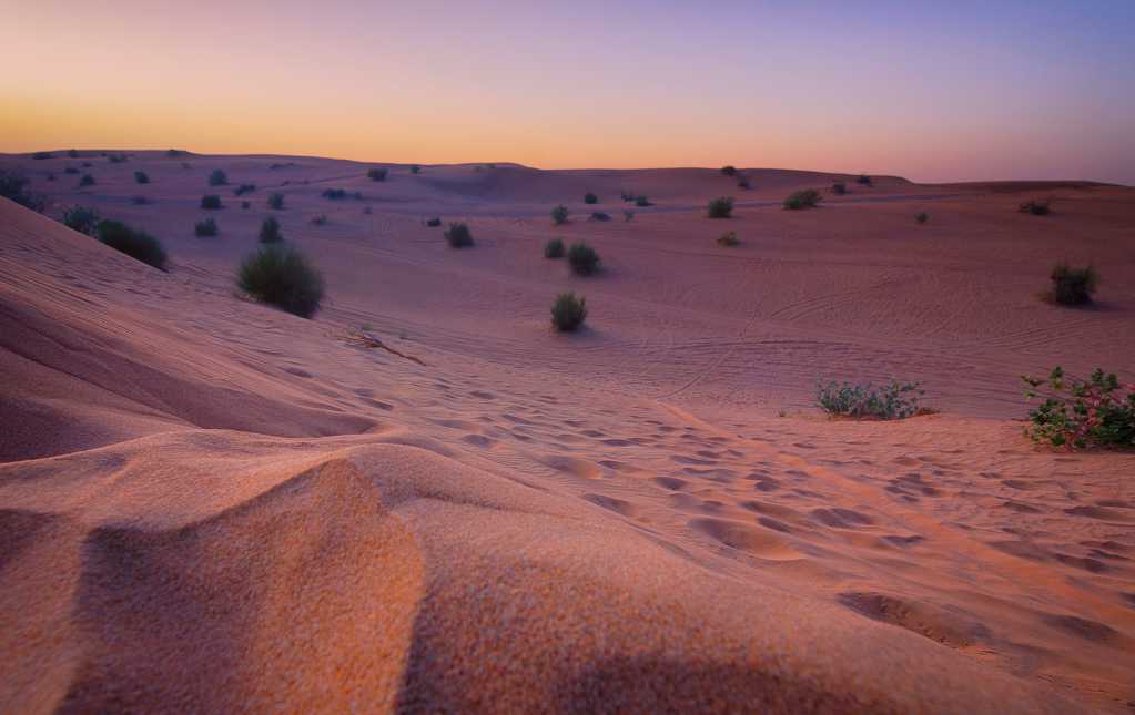 斜阳大漠景致图片