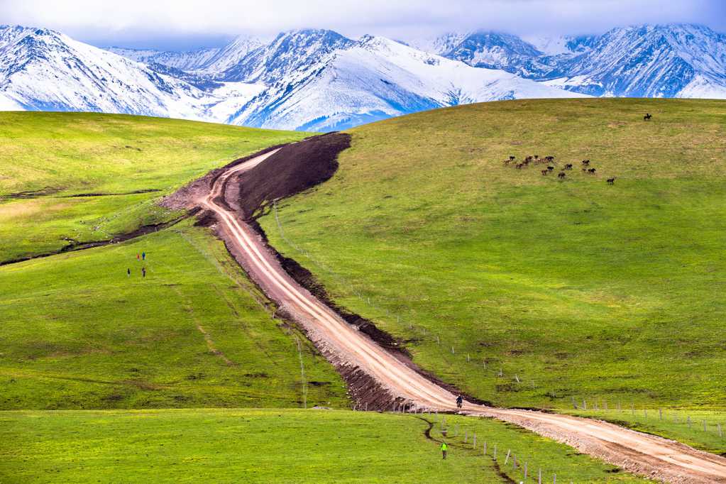 广阔无垠的新疆喀拉峻原野图片