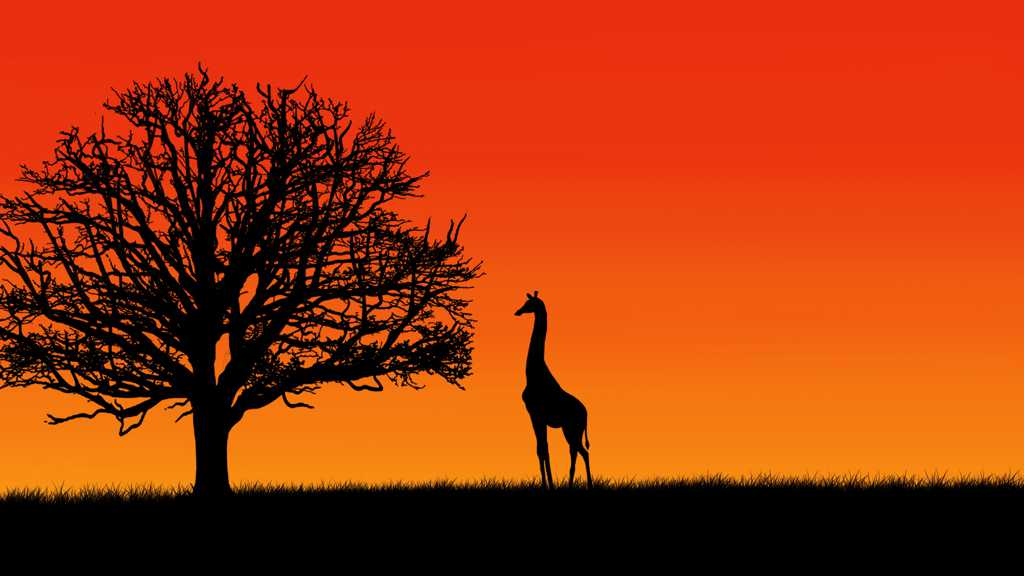 落日下的树木长颈鹿剪影图片