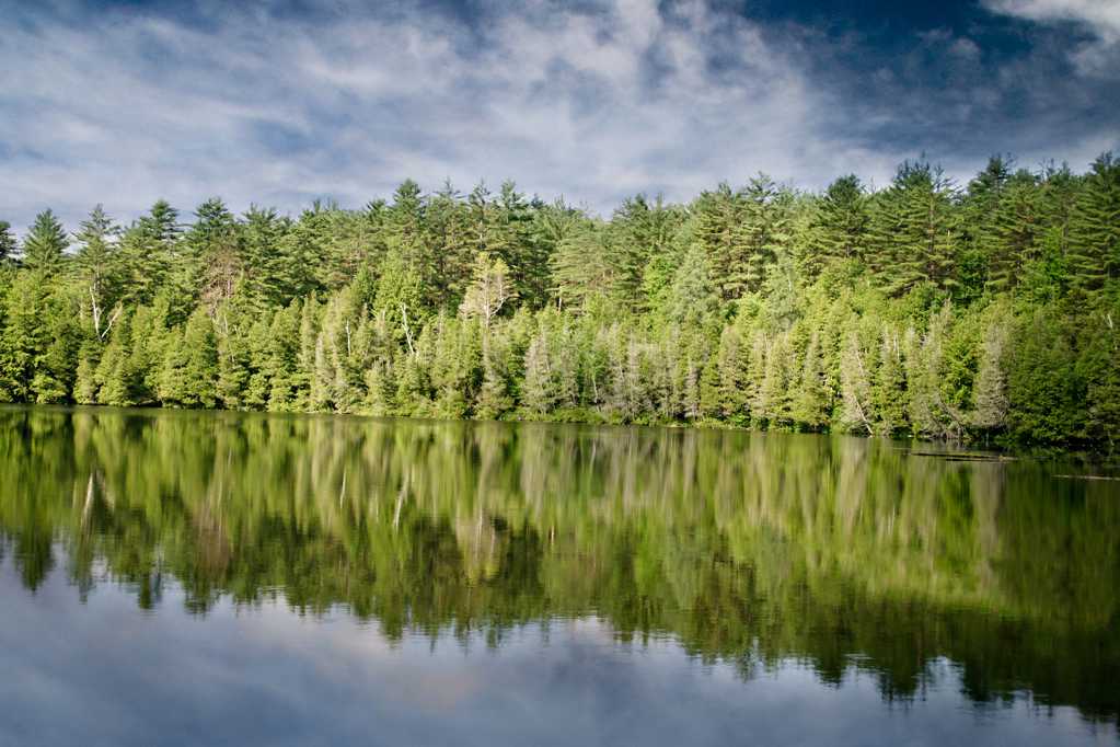 美丽的树林湖泊倒影图片