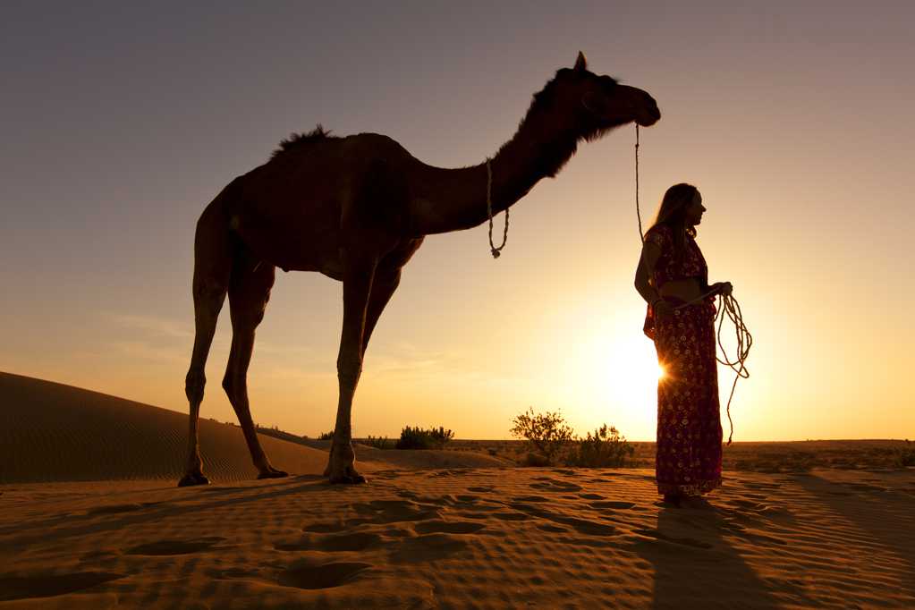 夕阳下的骆驼人物剪影图片