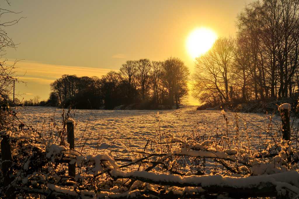 冬日雪地朝阳图片