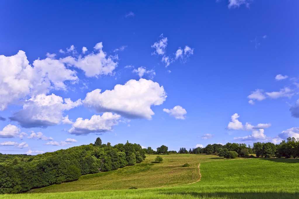 蓝色天空下的美丽草坡