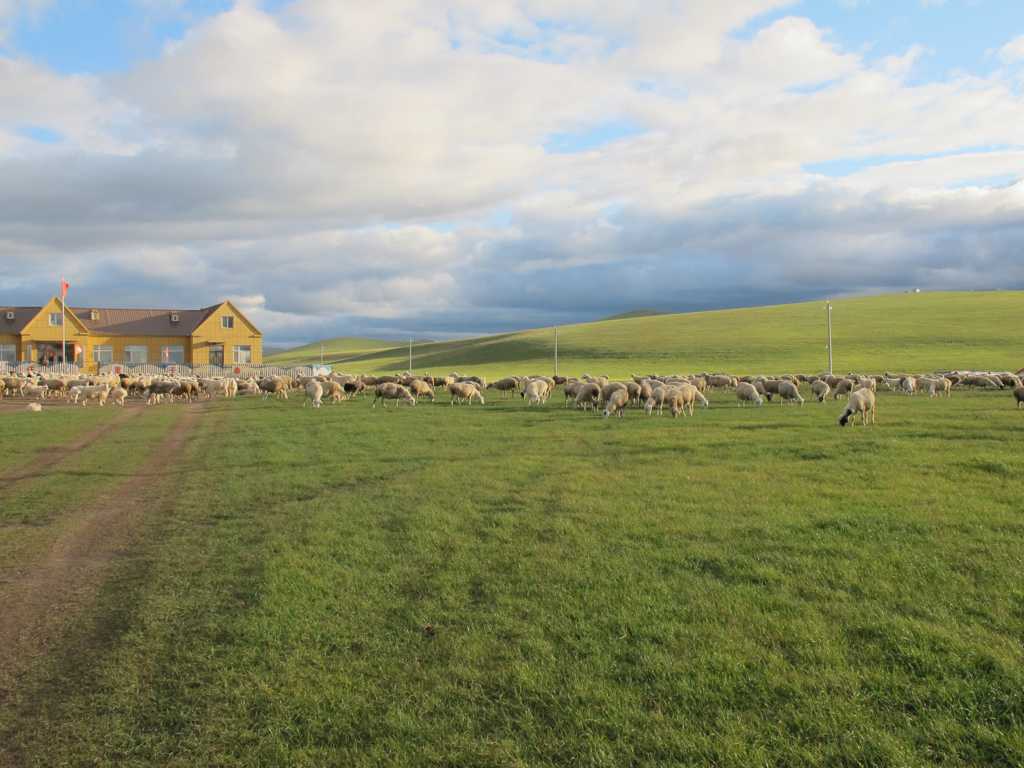 内蒙古呼伦贝尔草原光景图片