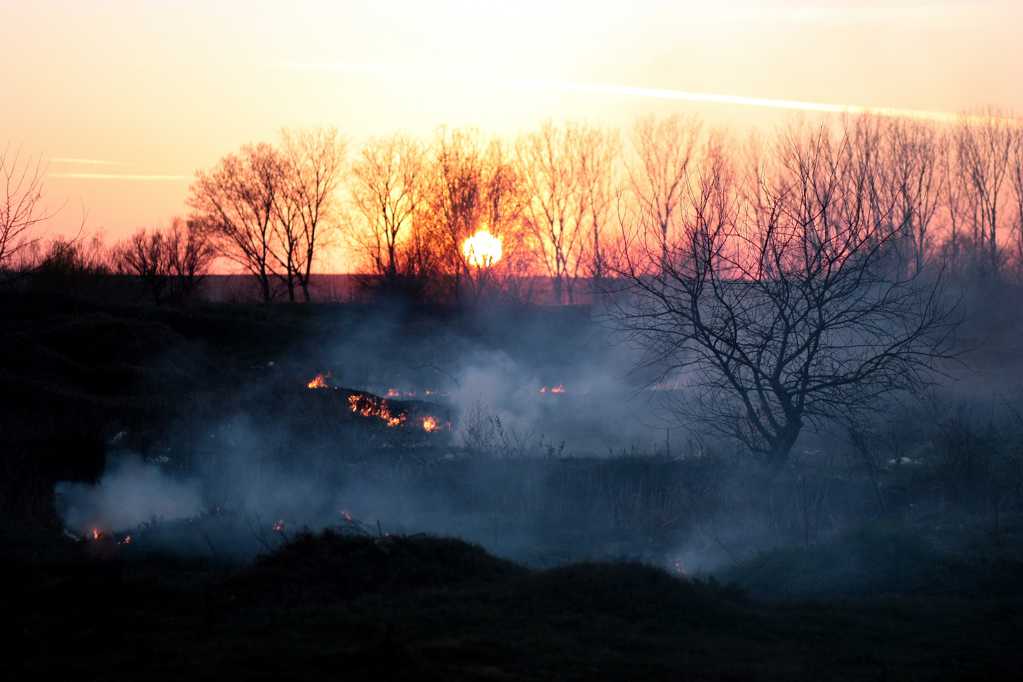 夕阳下的火烧山林图片