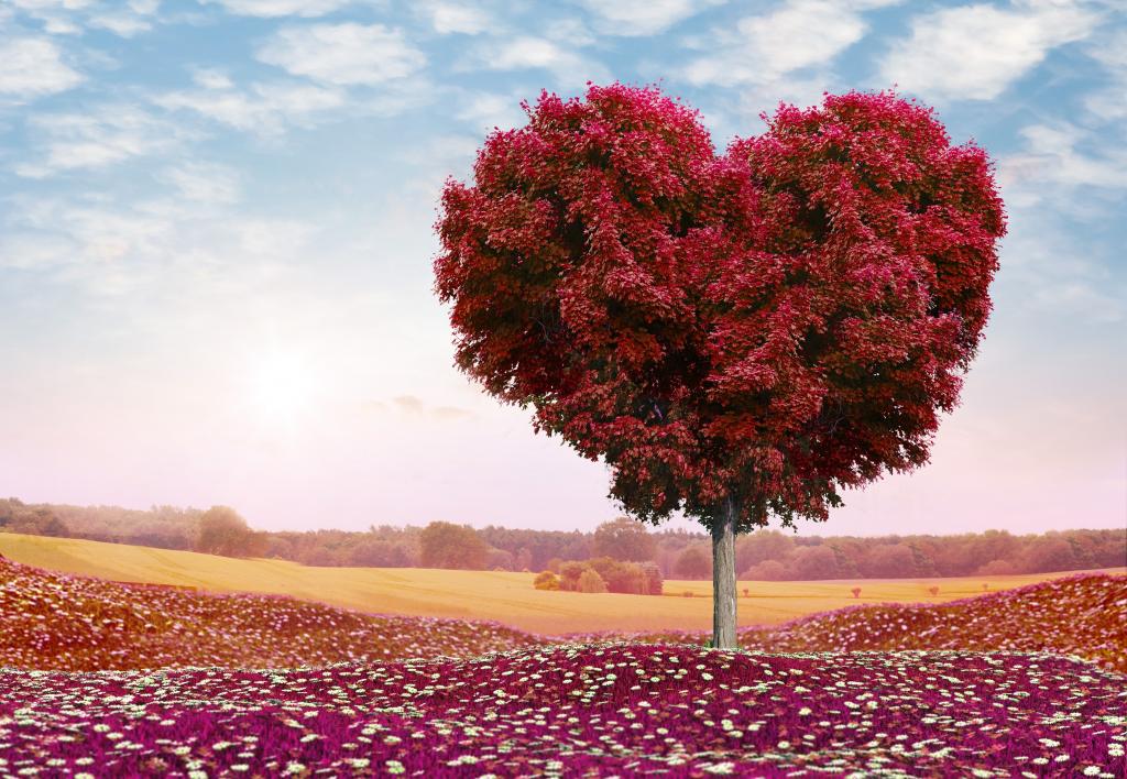 爱的心,树,4K