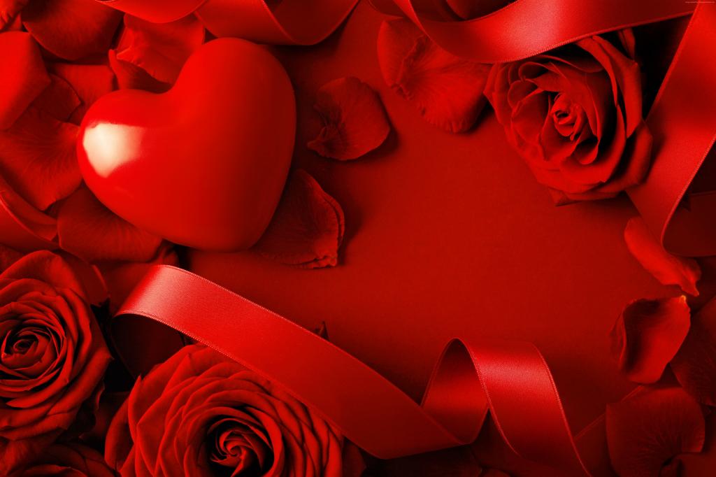 情人节,心,玫瑰,红色,色带,浪漫,爱（水平）