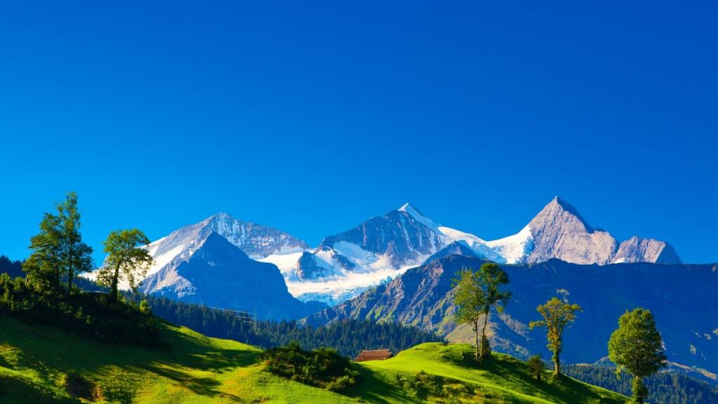 瑞士,阿尔卑斯山,景观,高清