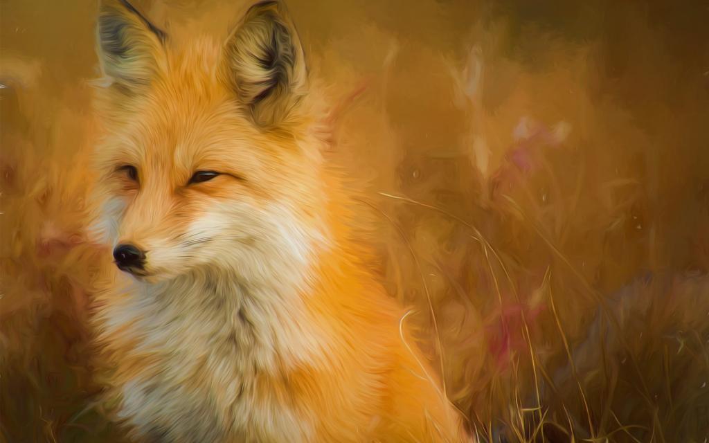 狐狸油漆艺术品5K