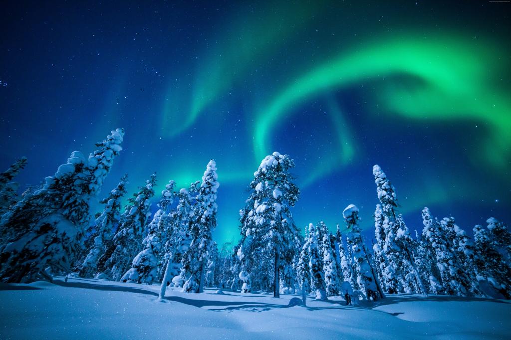 芬兰拉普兰,冬天,雪,树,夜晚,北极光,5k（水平）