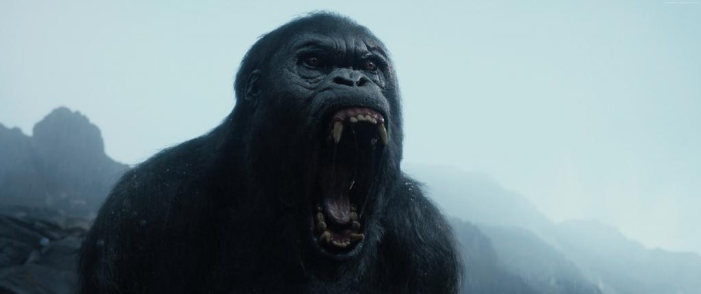 泰山传奇,大猩猩,2016年最佳电影（水平）