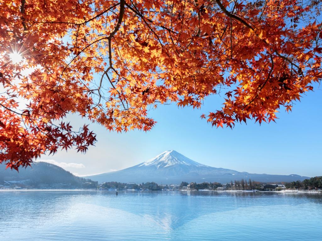 秋日富士山唯美景象