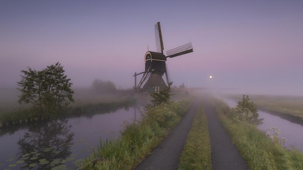 荷兰云雾里的风车