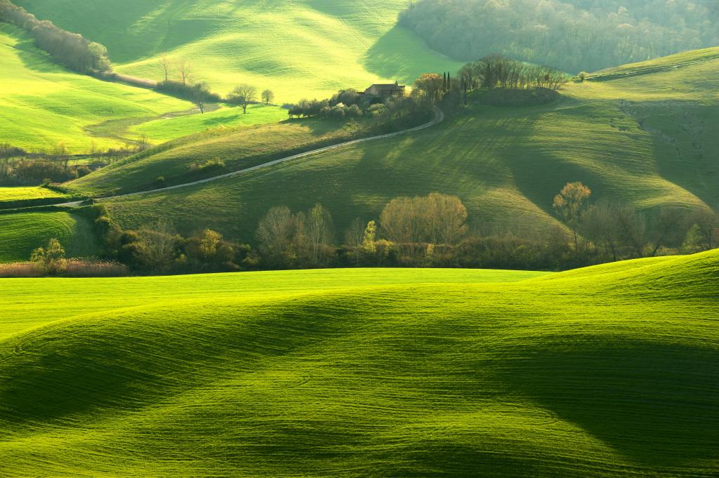 托斯卡纳,意大利,小山,绿色,领域,8k（水平）