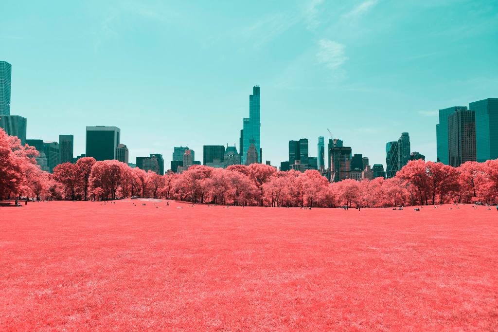 中央公园,红外线,曼哈顿,纽约市,4K