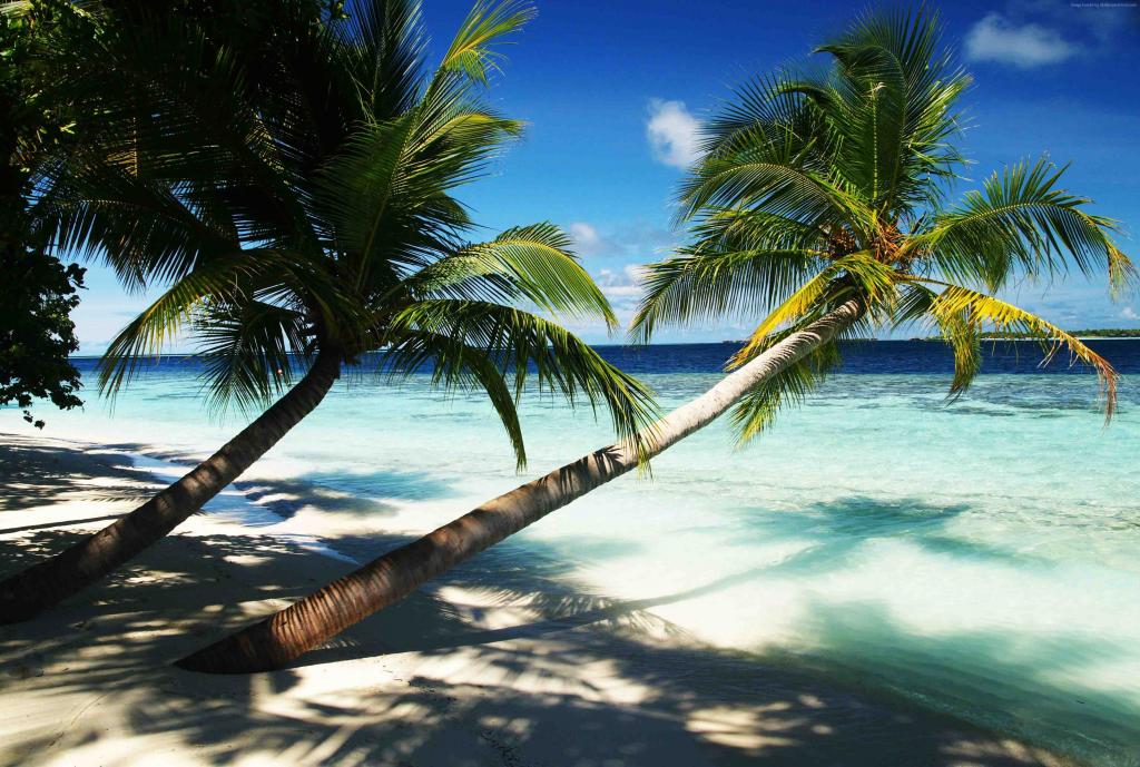 马尔代夫,4k,5k壁纸,假期,棕榈树,天堂,度假,旅游,酒店,岛,海洋,平房,海滩,天空