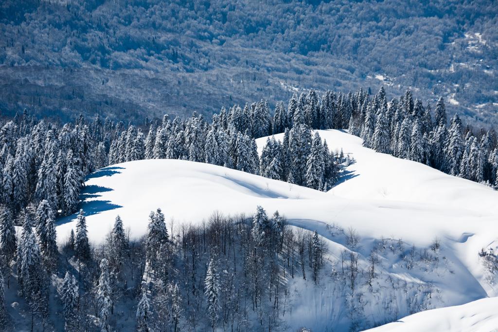 山,磨砂树,雪,冬天,俄罗斯