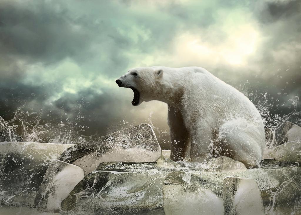 北极熊,冰,吼,海洋（水平）