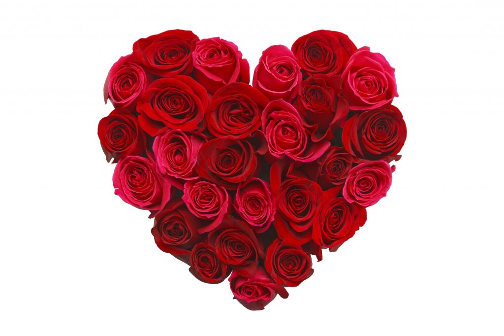 爱的形象,心,5k,玫瑰,鲜花（水平）