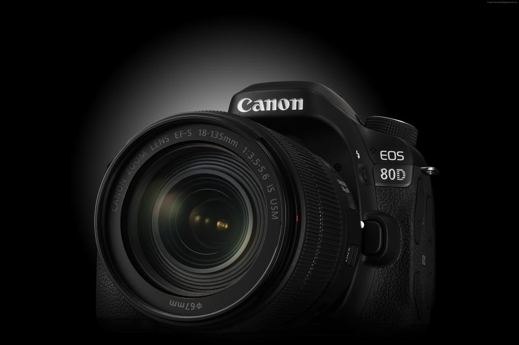 佳能EOS 80D,镜头EF-S 18-135mm f / 3.5-5.6,相机,评论,4k视频,佳能,单镜头,佳能变焦,反射（水平）