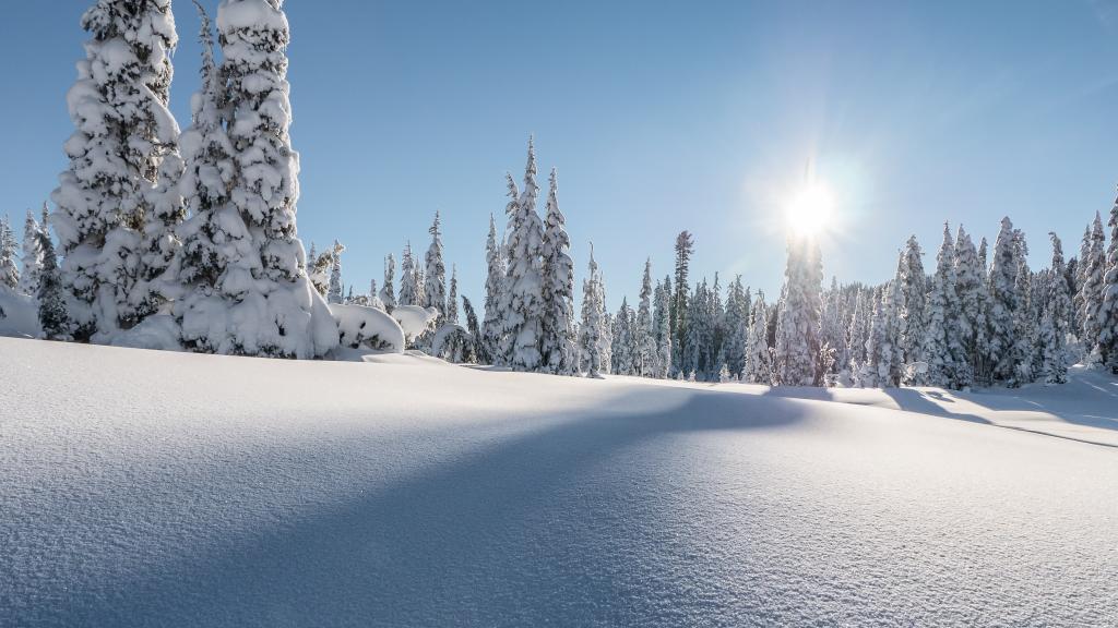 斯特拉斯科纳省立公园,华盛顿山,冬季,松树,雪,4k
