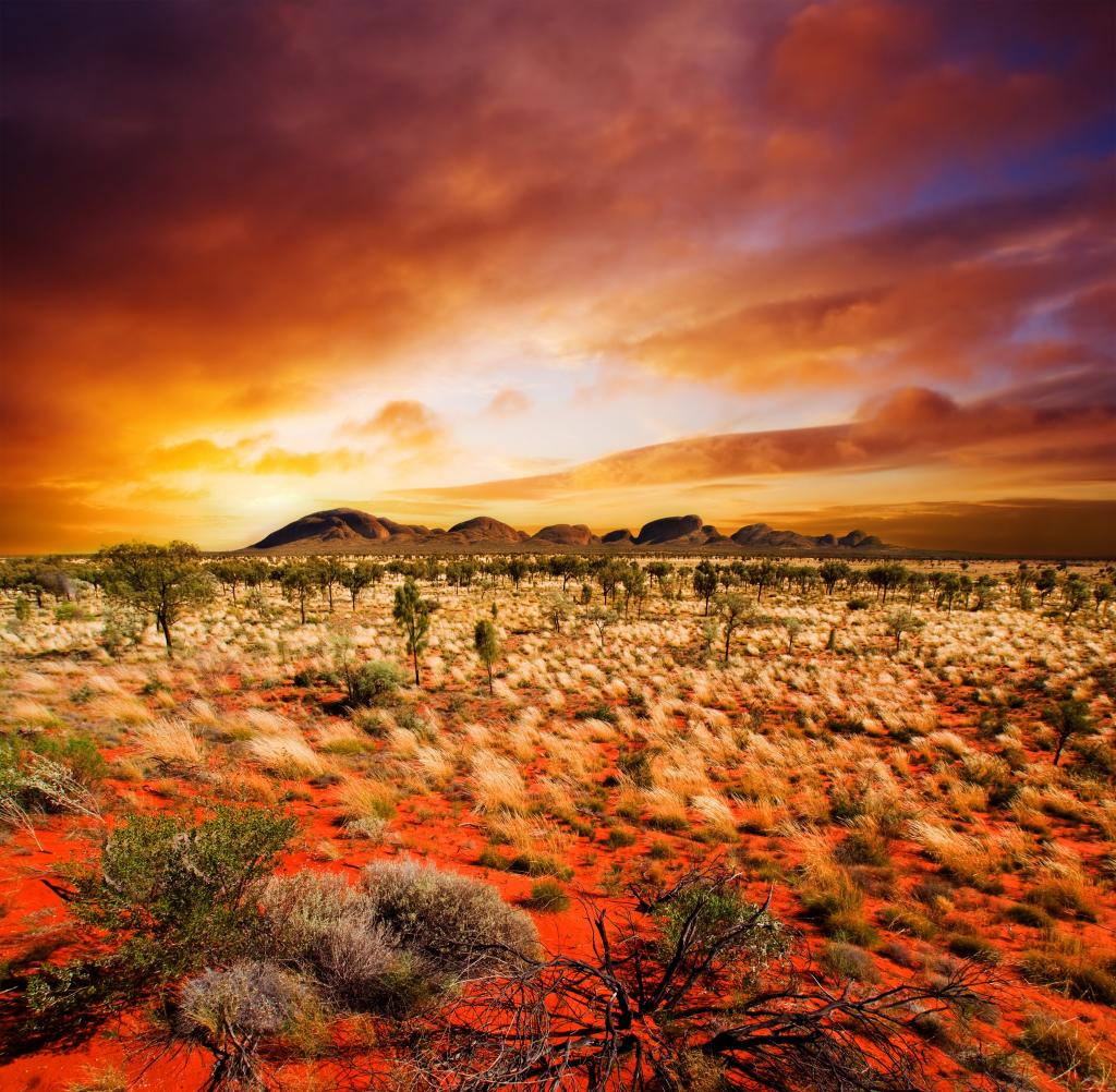 中央澳大利亚,沙漠,日落,景观,4K