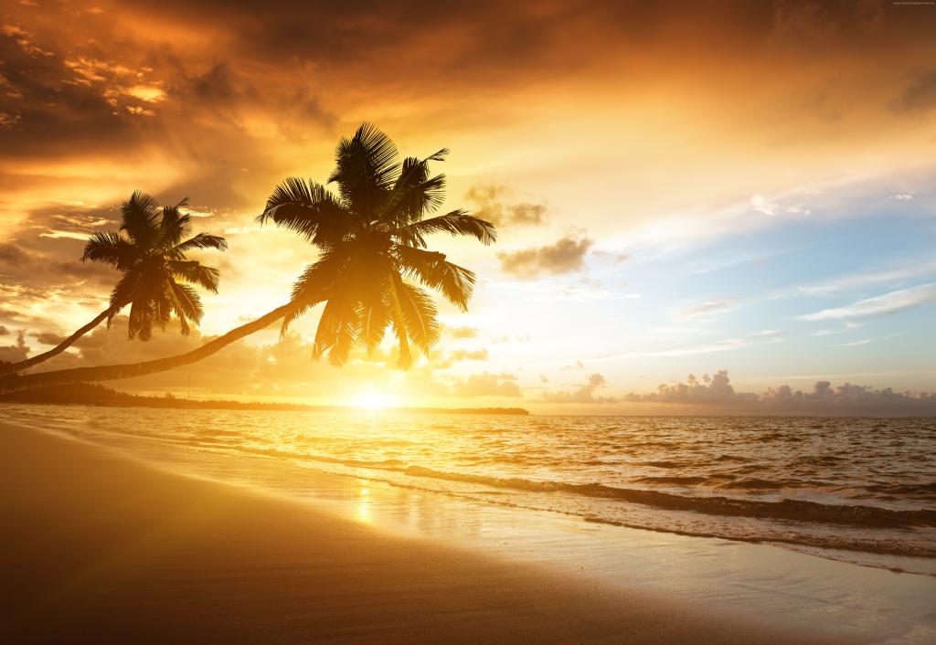 海滩,5k,4k壁纸,海洋,日落,棕榈树,度假,旅程（水平）
