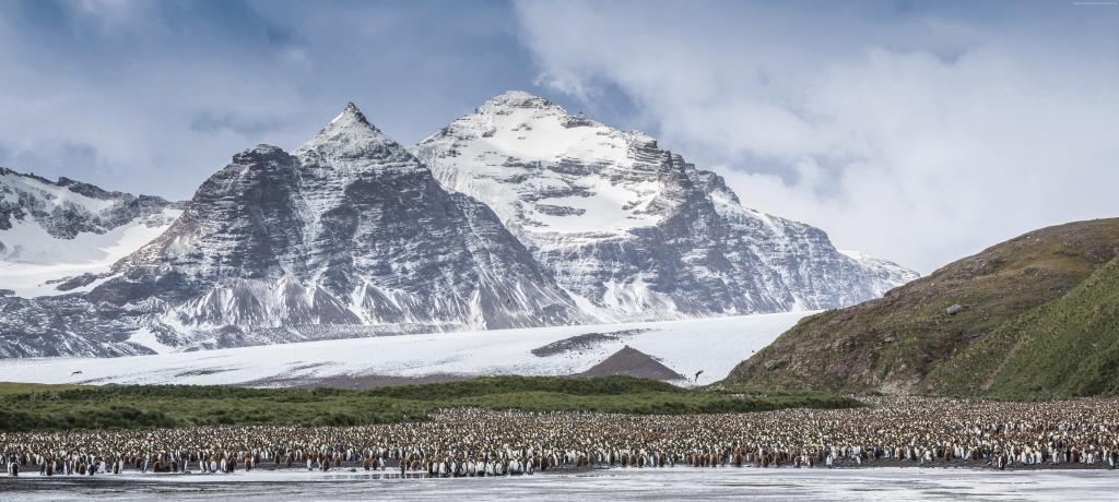 南极洲,山,企鹅,5K（水平）