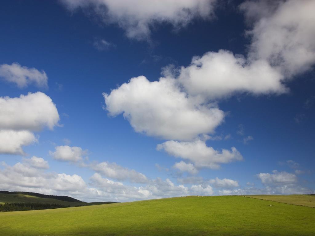 蓝色的天空和绿色的牧场