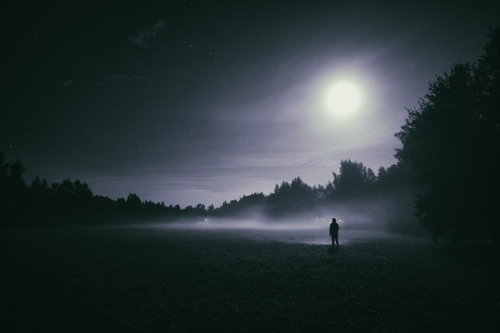 一个人,心情,满月,有雾,高清