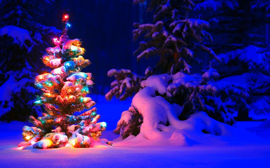 下雪的圣诞树灯
