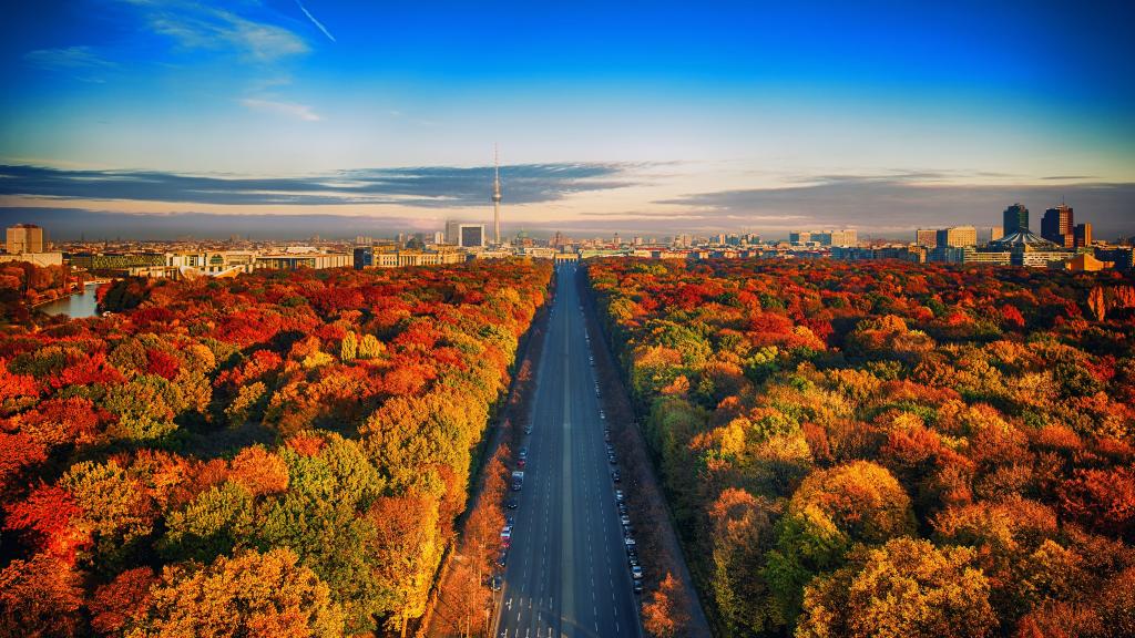 秋天,柏林,德国,城市景观,5K