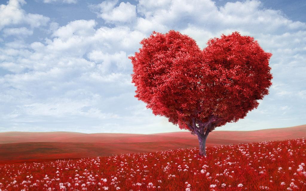 红色的爱心树