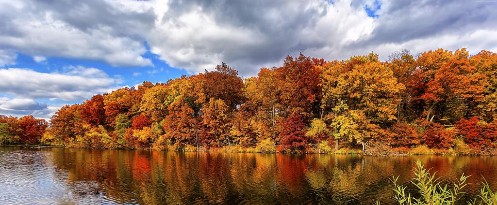 秋天,森林,湖,5k（水平）