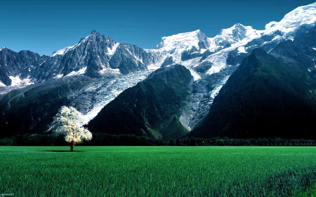 Bossons冰川阿尔卑斯山雪山