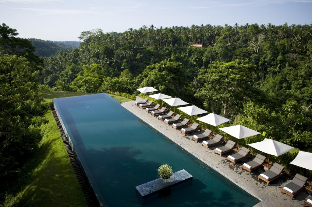 阿里拉乌布,巴厘岛,印度尼西亚,最好的酒店游泳池2017年,旅游,旅游,度假,度假,游泳池,日光浴浴床,森林（水平）