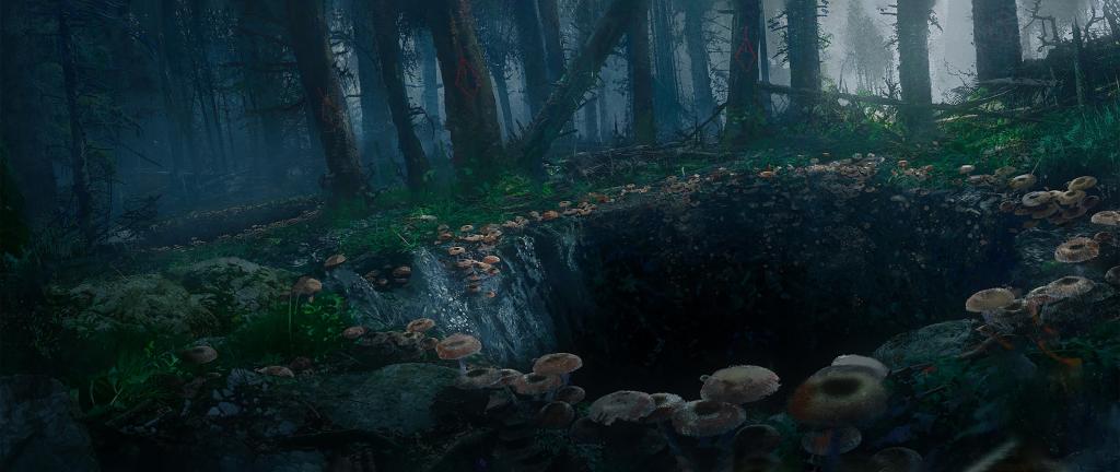 森林深处的巨大蘑菇坑