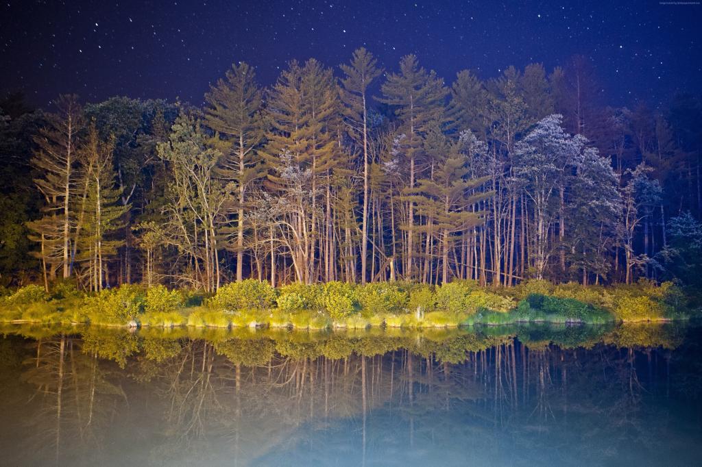 Android 5k 4k壁纸 森林 风景 夜 池塘 水平 图片 壁纸 自然风景 桌酷