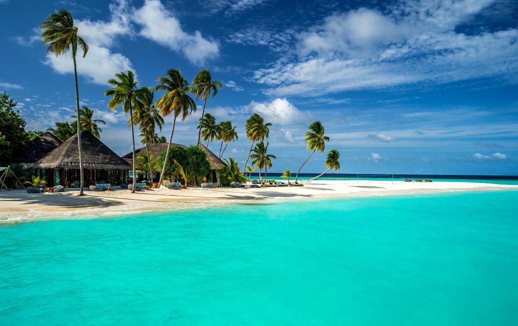 马尔代夫,5k,4k壁纸,8k,印度洋,世界上最好的海滩棕榈树,岸边,天空（水平）