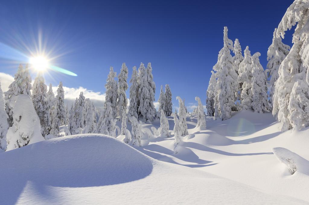冬天,雪,山,太阳,4K