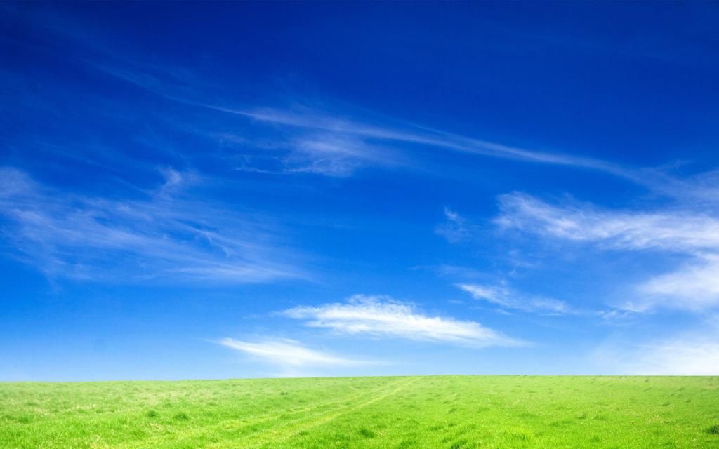 蓝蓝的天空和绿草