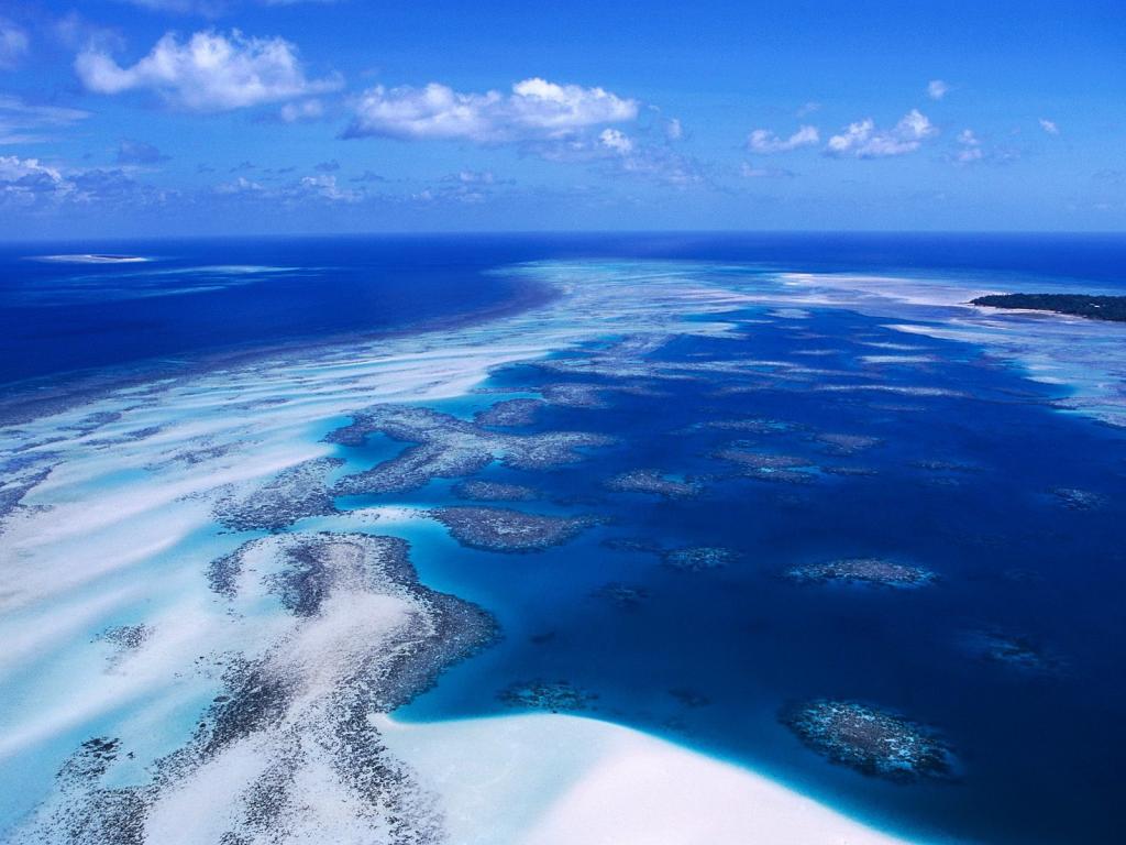 珊瑚礁澳大利亚