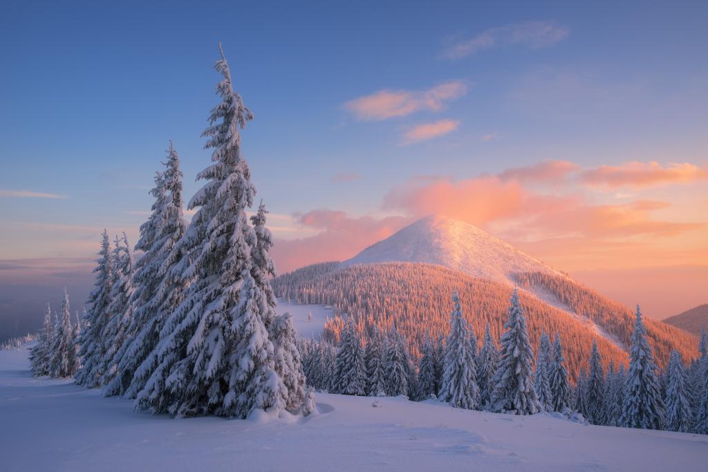 喀尔巴阡山脉,雪,冬天,日落,松树,4K