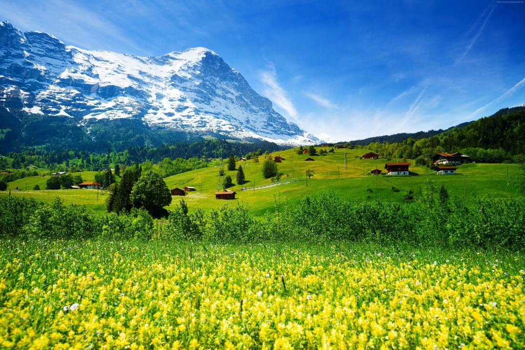 瑞士,5k,4k壁纸,山,草地,野花（水平）