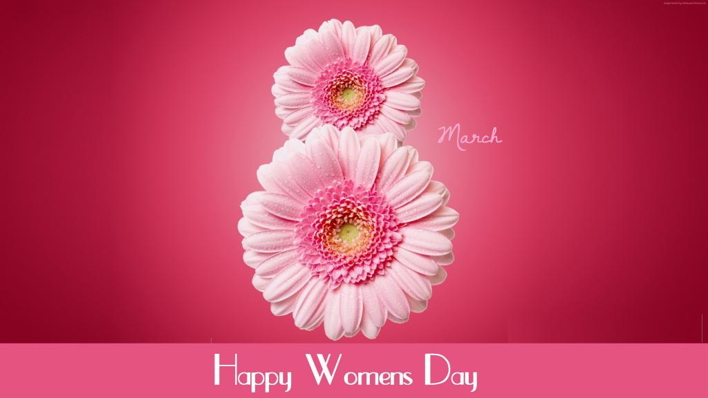 国际妇女节,3月8日,花,粉红色,非洲菊（水平）