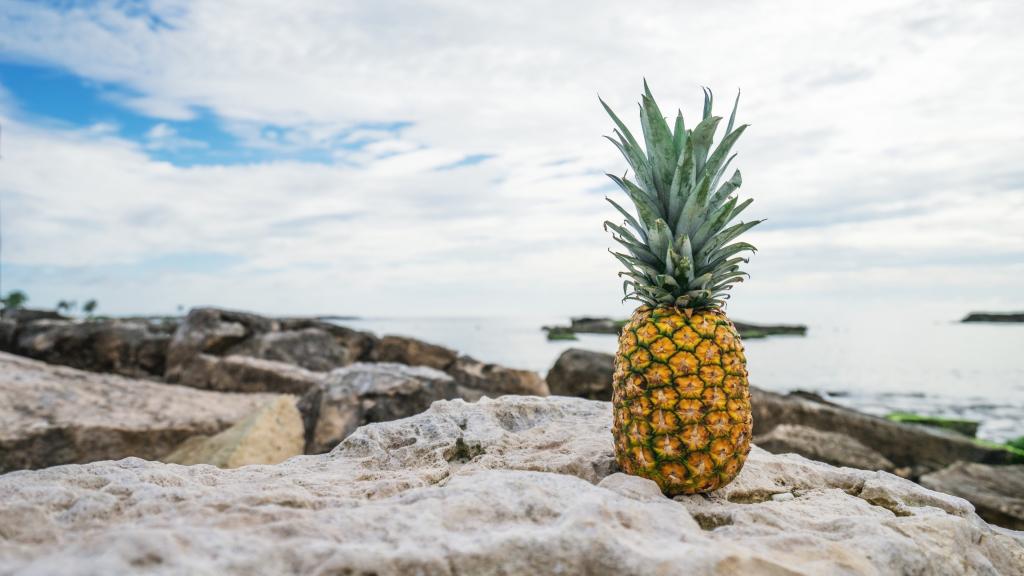 菠萝,水果,石头,沙滩,4k（水平）