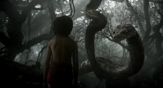 丛林书,Mowgli,Kaa,冒险,幻想,2016年最佳电影（水平）