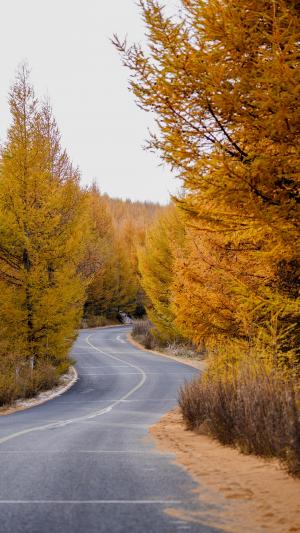 公路旁的秋色美景