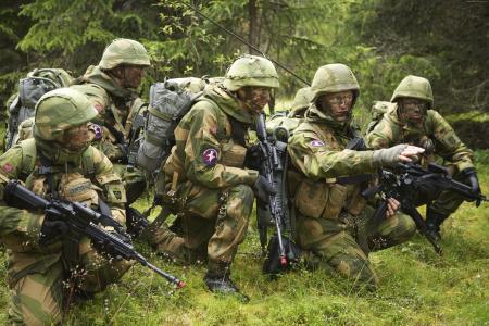 挪威军队,挪威武装部队,士兵,迷彩,任务,步枪,森林（水平）